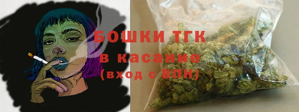 дживик Абинск