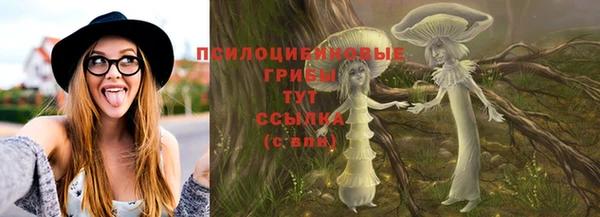 ешки Абаза