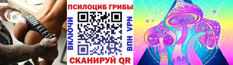 где купить наркоту Прокопьевск Псилоцибиновые грибы мухоморы